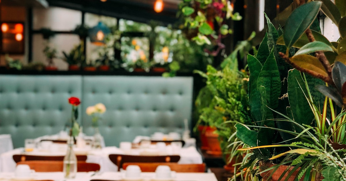 How Small Restaurants Can Use AR Menus Without High Costs